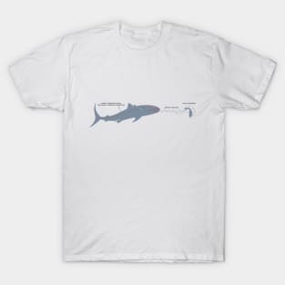 Jaws — Brody's Book T-Shirt